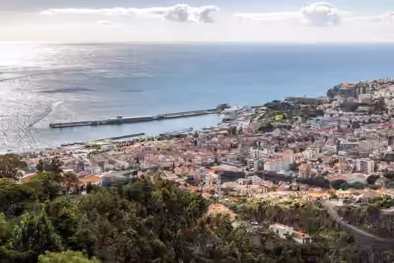 View over the rooftops of Funchal to the harbour, with a cruise ship at the pier and the Atlantic beyond